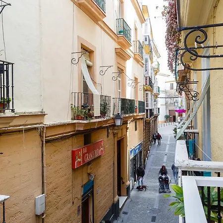 Apartment Old Saeta *